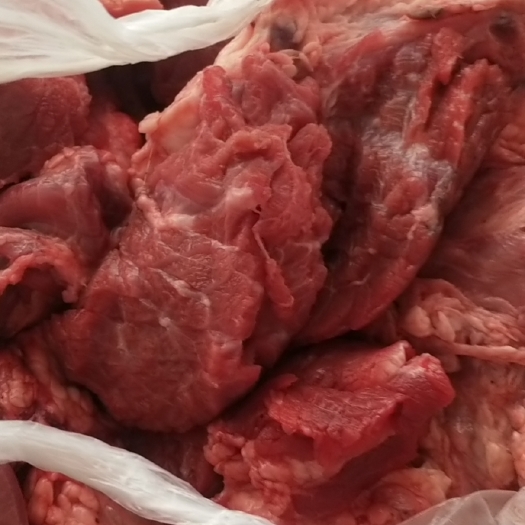 文水县牛肉类 大块生牛肉