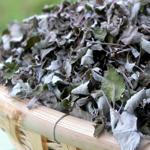 漾濞县干货、坝子[香薷:扫把茶、苏、香薷、山香小菝子小坝