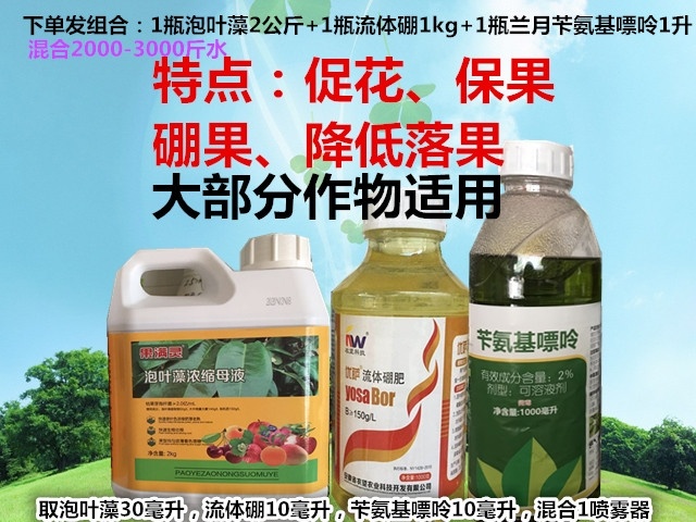 南宁保果套餐 泡叶藻流体硼苄氨基嘌呤促花壮花保果硼果叶面肥各类果