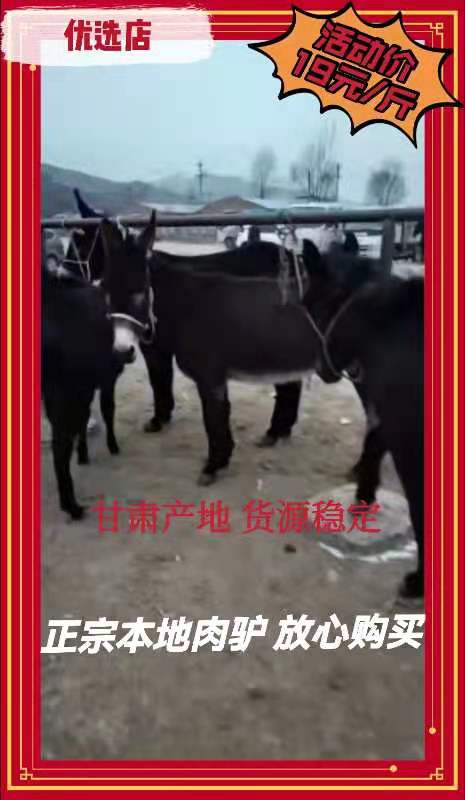 礼县甘肃肉驴 400-500斤 ，膘肥体壮，出肉驴高，保质保量，
