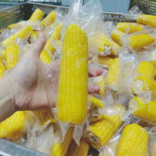 辉南县鲜玉米 东北新鲜甜糯鲜食玉米