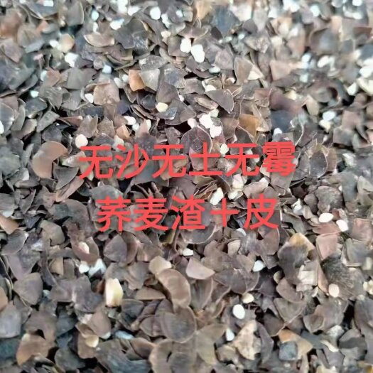荞麦壳 荞麦皮
