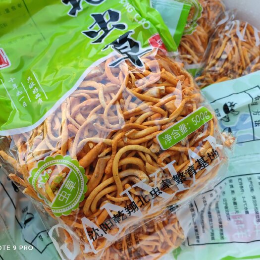 南通北虫草 鲜虫草花