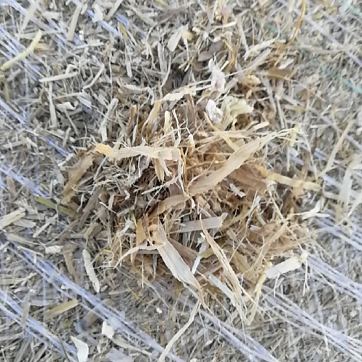 梅河口市玉米秸秆揉丝除尘小方包