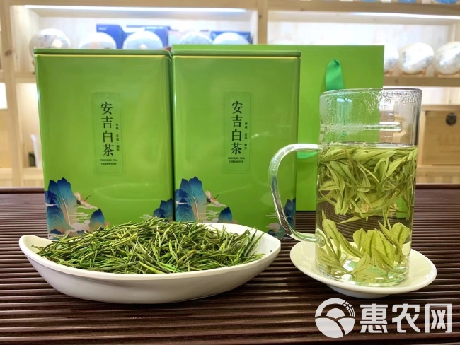 新白茶 安吉白茶