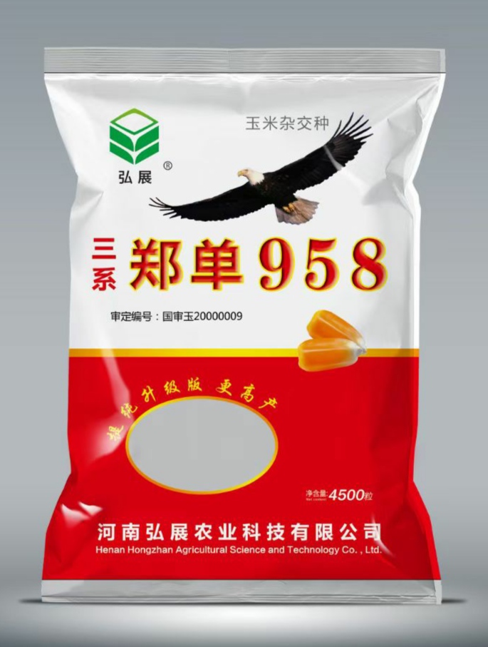 郑州郑单958玉米种子  弘展三系制种，育种家提纯扶壮，产量更高