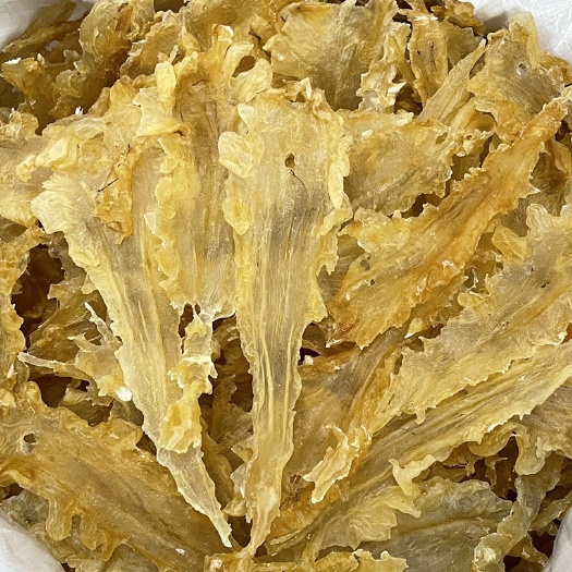 广州花胶 鳕鱼胶25头