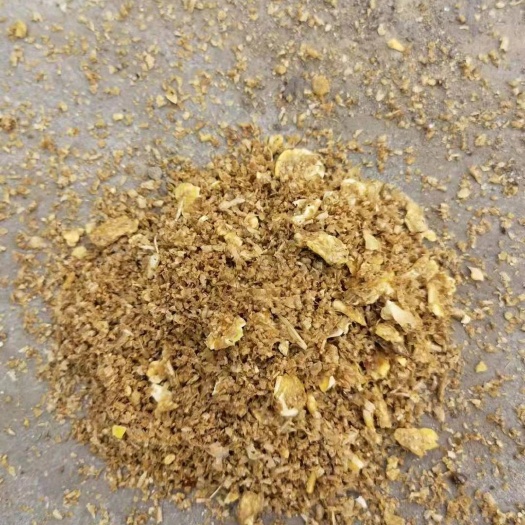 正定县玉米压片发酵饲料，厂家直销！