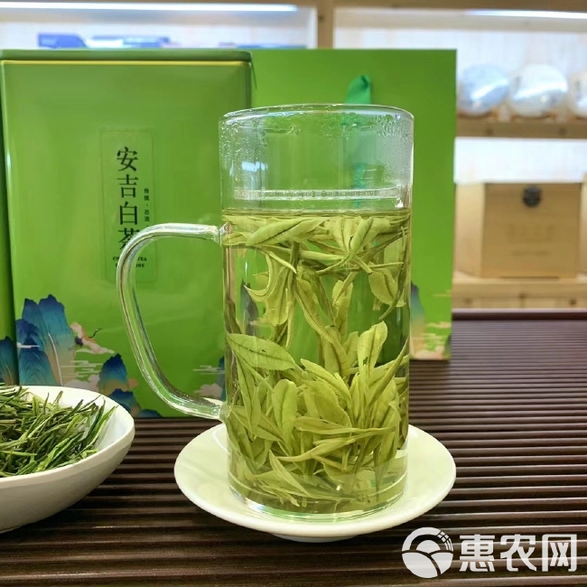 新白茶 安吉白茶