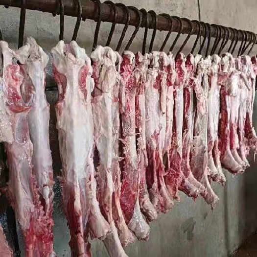 博野县羊脖子 满肉羊蝎子 多肉羊脊骨  7一斤，大量现货可发样品