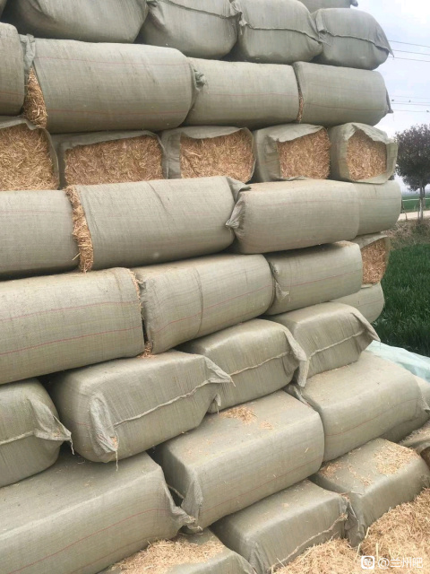桐城市小麦秸秆 牛 羊 