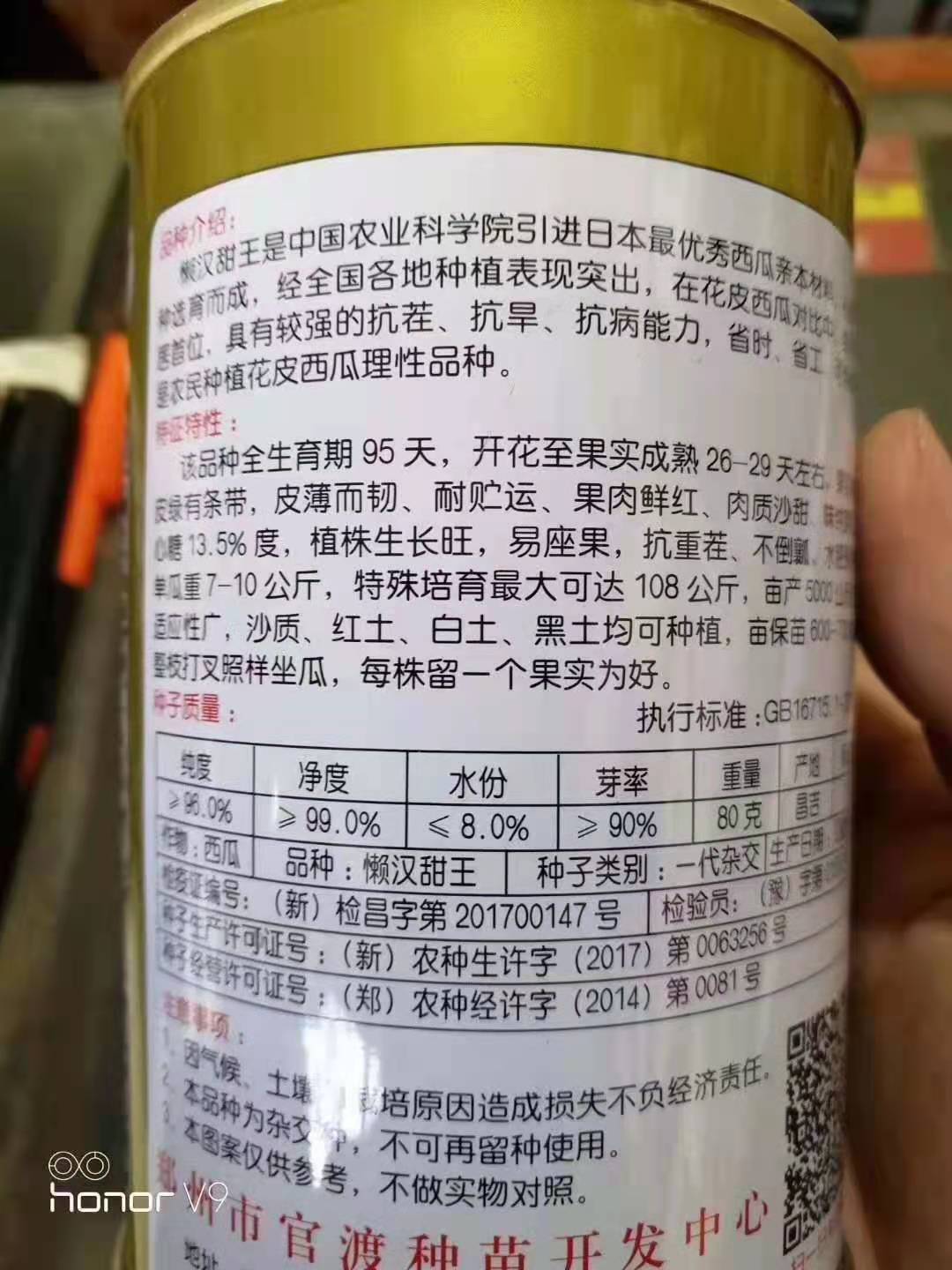 懒汉甜王西瓜种子