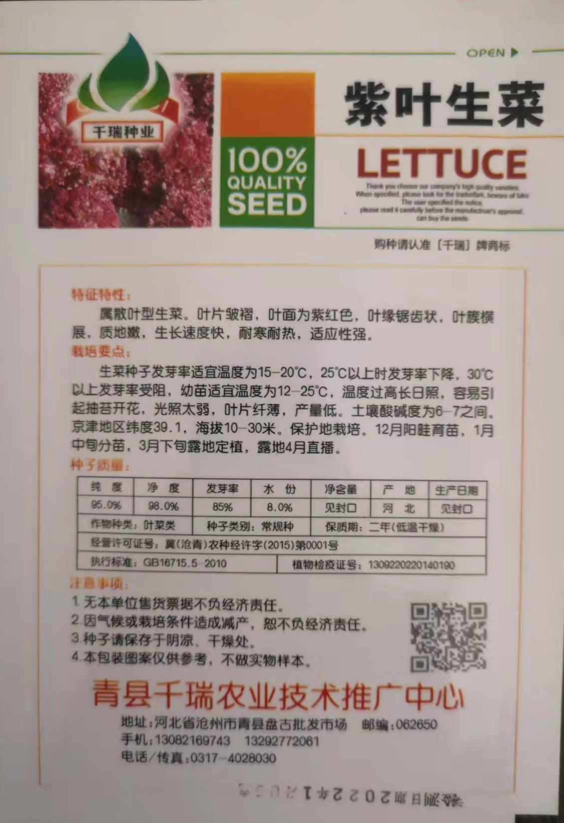 紫叶生菜种子红皱曲结球生菜种子四季奶油生菜种子高产生菜