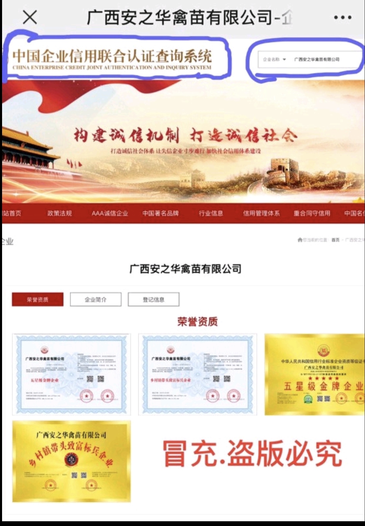 九斤黄鸡苗.快大黄鸡苗、（平台严选店），质量有保障
