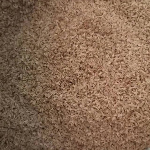  麦壳大量直出