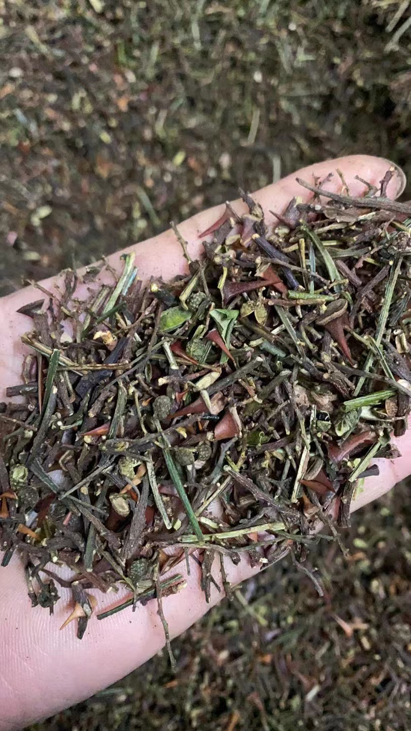 青花椒打粉料！青花椒色选出来的花椒梗连着花椒颗粒机器过筛