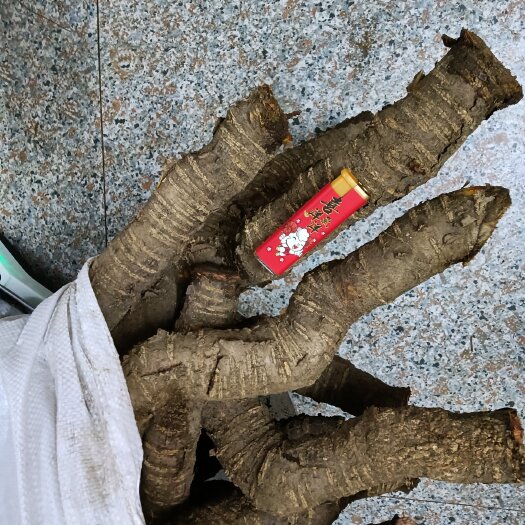 浦北县南蛇藤，纯根部，不是藤条，挖根的
