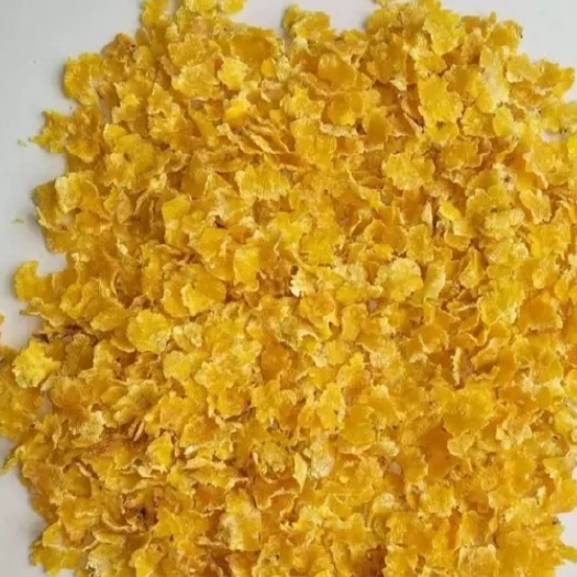 肇东市东北玉米，蒸汽压片玉米，厂家直销，没有中间商赚差价。