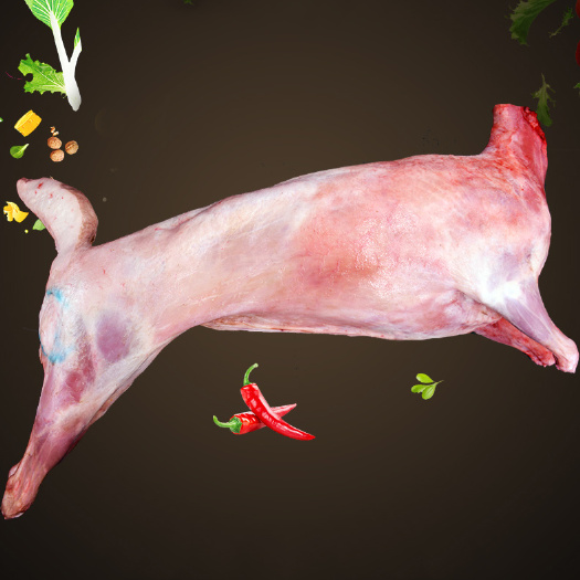 羊肉类 羊肉白条羊盐池滩羊肉烤全羊用羊肉羊羔肉