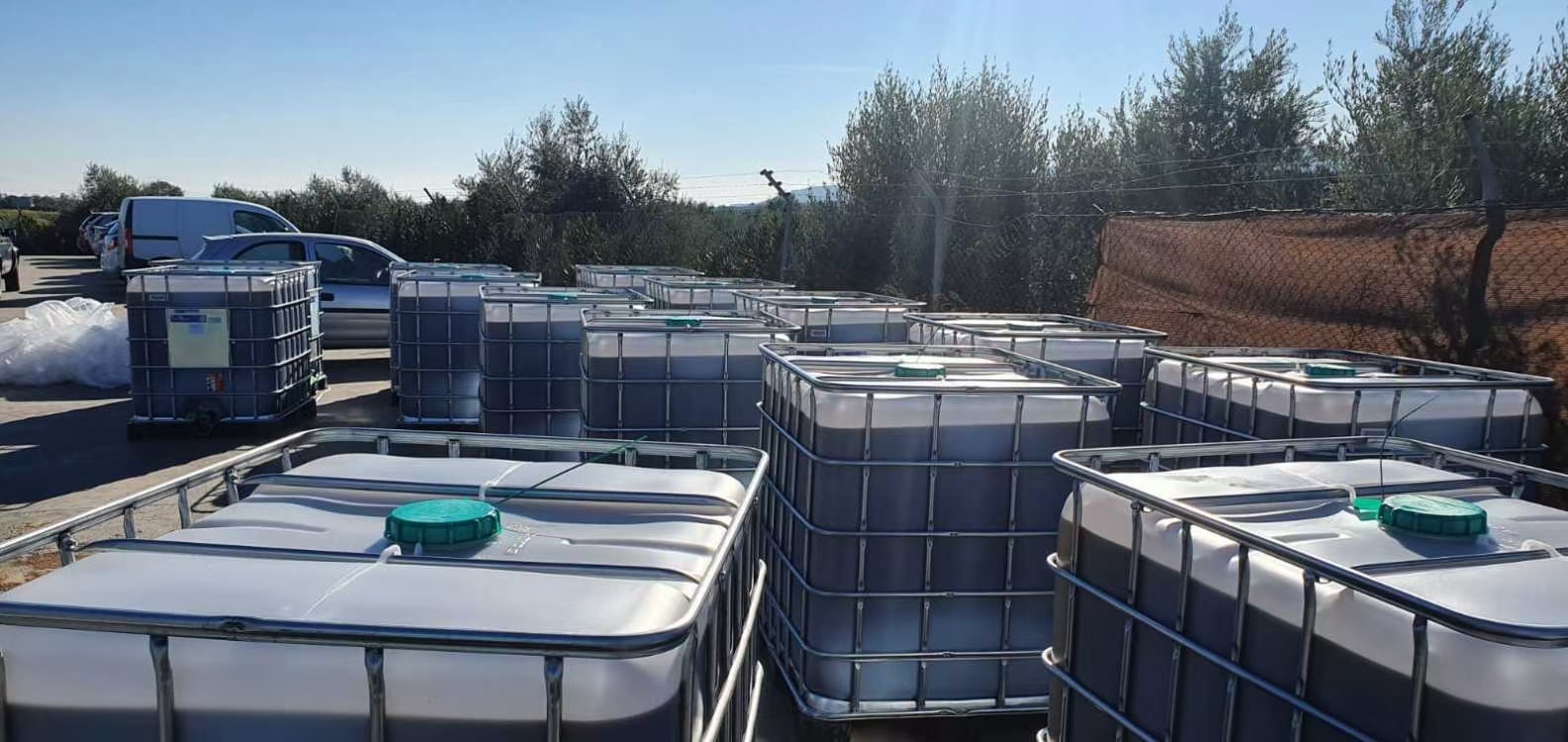 臨沂 西班牙噸桶1000L特級初榨橄欖油