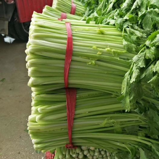 徐州西芹