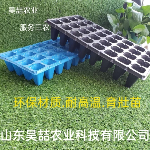 莘县穴盘/育苗盘  草莓穴盘.林木扦插穴盘.