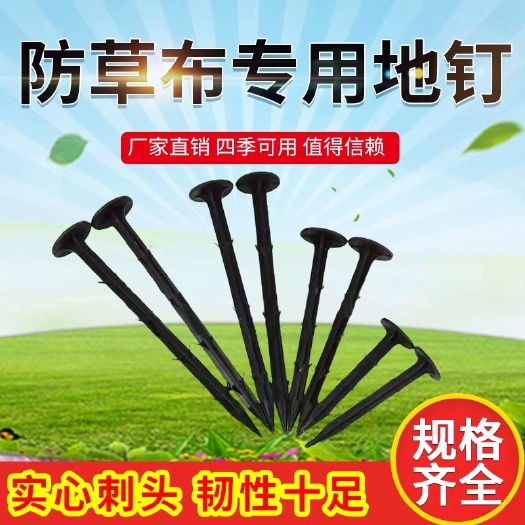 德州防草布地布钉 黑色塑料地钉 地膜钉 帐篷固定钉厂家直供