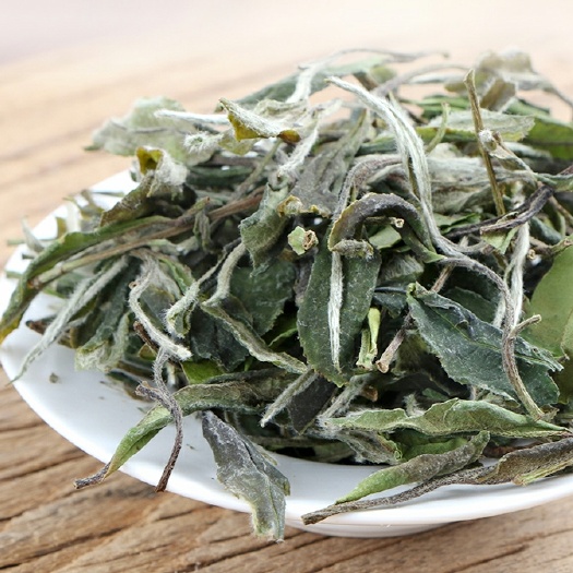 昆明茶农自产自销2024年头春白牡丹花香蜜香高山云雾白茶