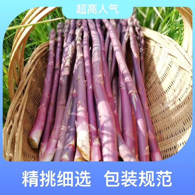 紫芦笋 水果蔬菜 爽甜可口 (现采现发)顺丰发货包邮到家