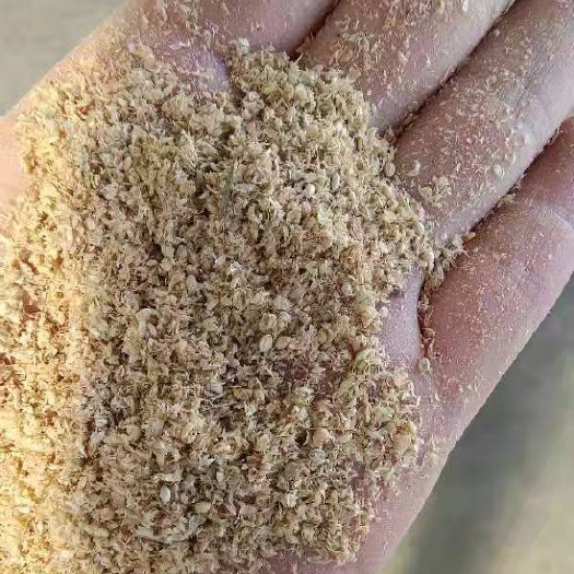 正定县 小米糠