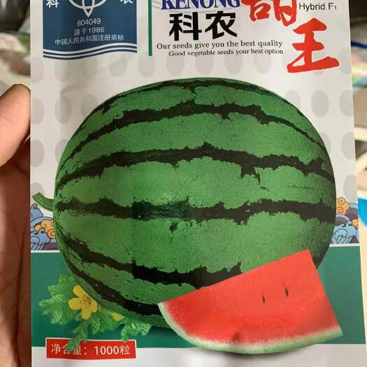 东方市正宗甜王西瓜种子，产量高，容易结果，口感甜脆，抗性强，不裂
