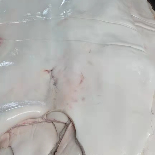 南宁牛皮  每天现加工，水褪