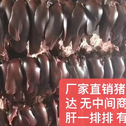 哈尔滨 鲜猪肝