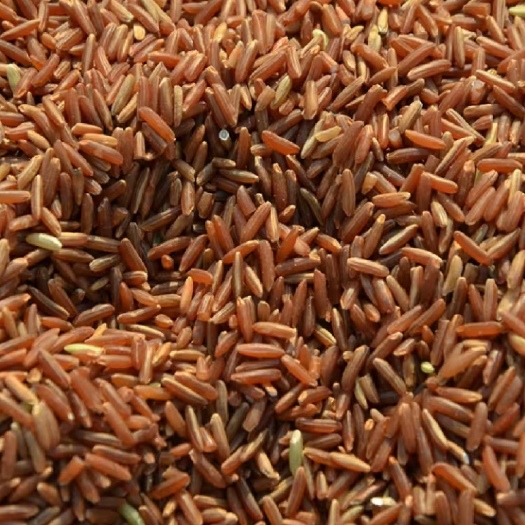 五常市红米 东北农家自产红香米糙米特产血糯米粒粒香