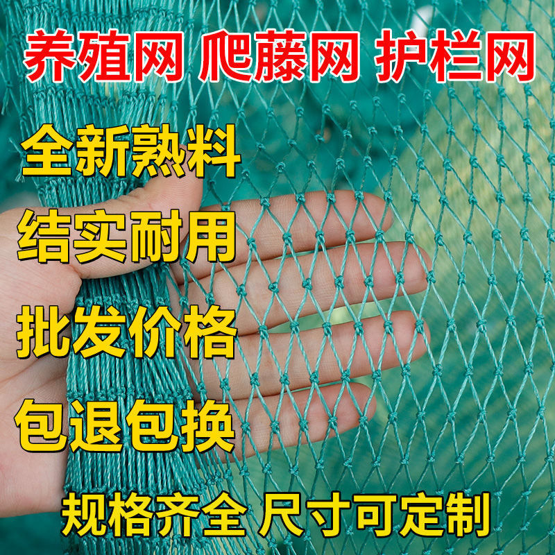 养鸡网山鸡网拦鸡网防鸟网鸡网子拦网家禽网