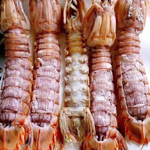 青岛熟冻皮皮虾