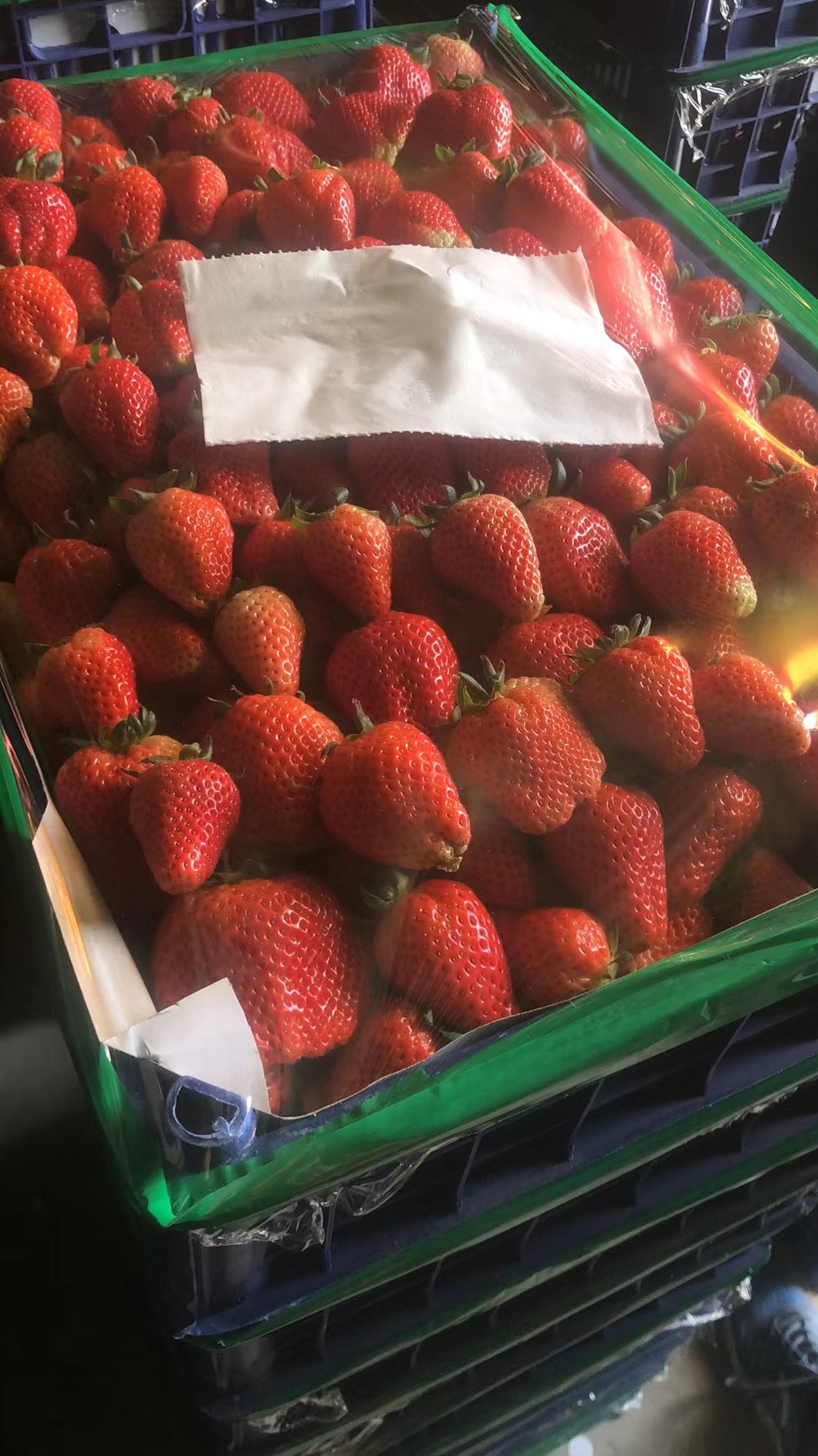 徐州妙香草莓奶油草莓