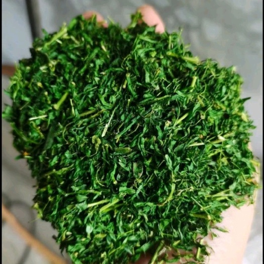 平远县深山鸡骨草茶