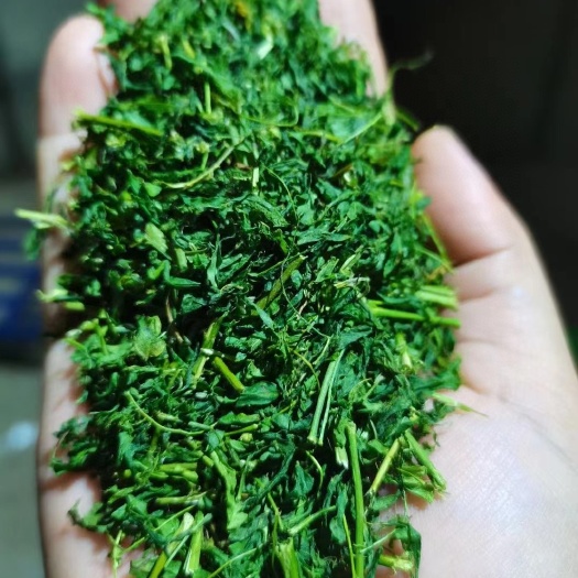 平远县 鸡骨草茶，柴火炒制，一件30斤