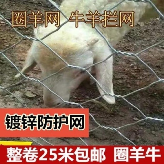 安平县荷兰网 养殖防锈围栏石笼网养鸡养羊网铁丝网拧花网六角网