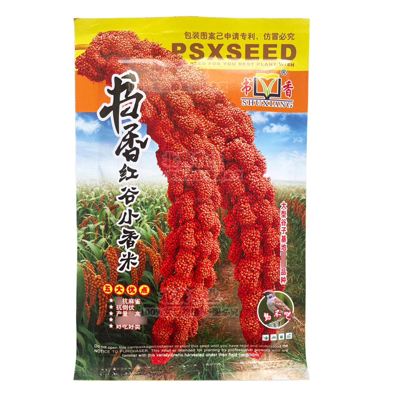 济南书香红谷小香米种子150g红谷子黄小米种籽春夏季播小米种子
