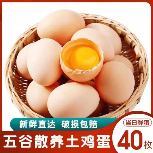 许昌普通鸡蛋 【山林散养】农家散养土鸡蛋柴鸡蛋营养健康鸡蛋草