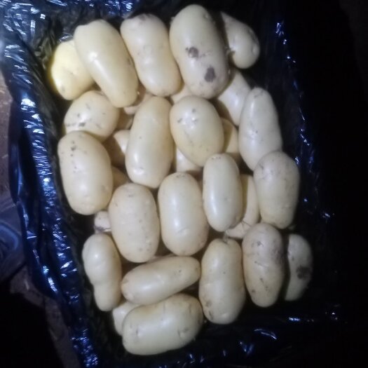 枣庄V七豆：毛豆：辣椒…