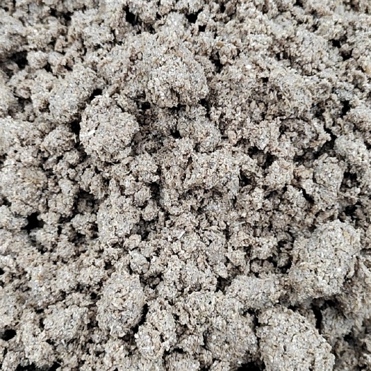 广州长期大量生产新鲜啤酒糟，细糟，水分低