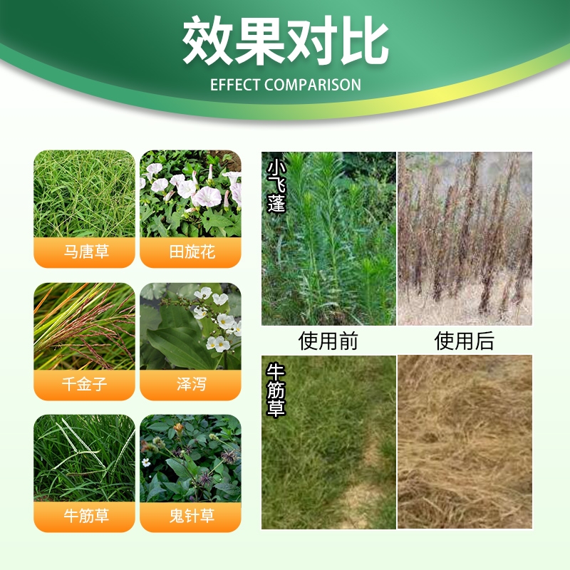 利尔陌上歌20%草铵膦果园荒地牛筋草小飞蓬杂草除草剂5公斤