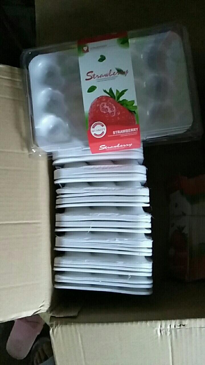 塑料筐 一次性草莓筐