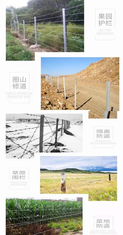 护栏 热镀锌钢丝刺绳铁丝网围栏防盗刺铁丝防盗刺铁蒺藜