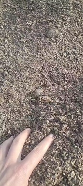 大名县食用菌渣 已腐熟 