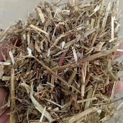 正定县花生秧   牛羊必备草料