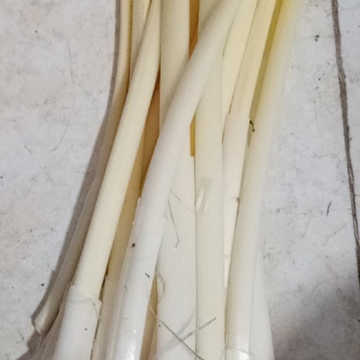 淮安新鲜蒲菜批发2-5斤真空包装